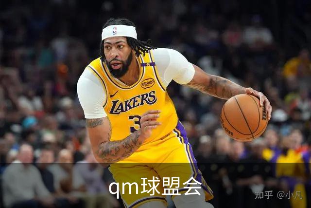 qm球盟会公司简介图
